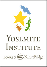 yi logo